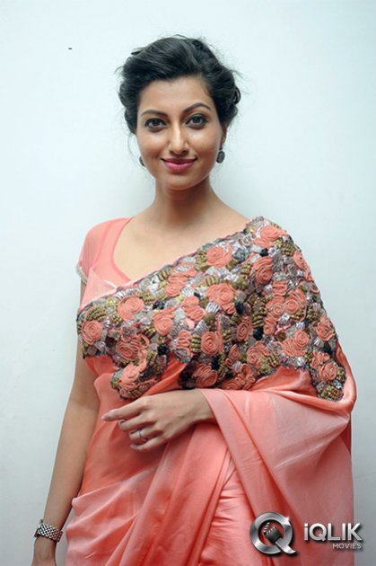 Hamsa-Nandini-at-Legend-Audio-Launch